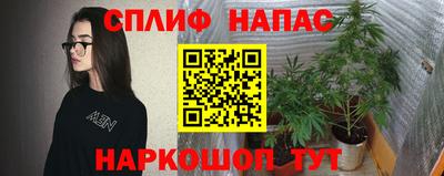 хмурый Краснознаменск