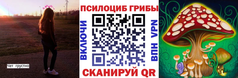 магазин продажи наркотиков  Балтийск  Галлюциногенные грибы ЛСД 