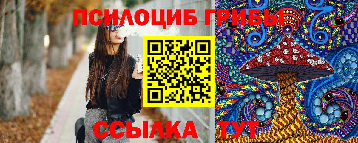 Псилоцибиновые грибы прущие грибы  Вход с VPN  Балтийск  Псилоцибиновые грибы мухоморы 